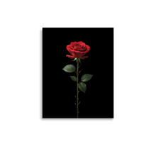 Red Rose on Black Poster Print Art