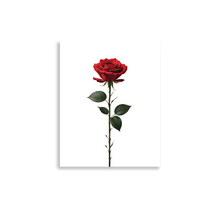 Red Rose on White Poster Print Art