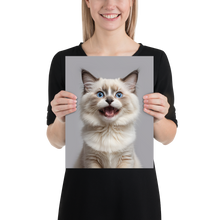 Ragdoll Kitten Poster Print Art