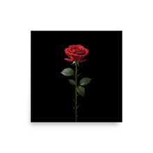 Red Rose on Black Poster Print Art