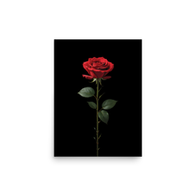 Red Rose on Black Poster Print Art