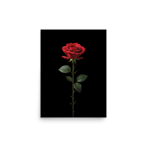 Red Rose on Black Poster Print Art