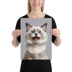 Ragdoll Kitten Poster Print Art