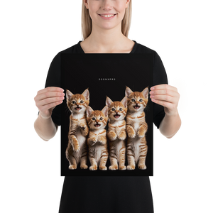 Four Cute Cats Poster Print Art