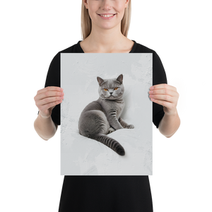 Relaxing British Shorthair Cat Poster Print Art