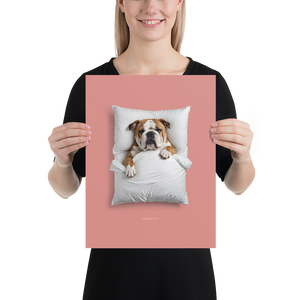 Sleeping Bulldog Poster Print Art