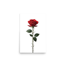 Red Rose on White Poster Print Art