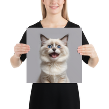 Ragdoll Kitten Poster Print Art