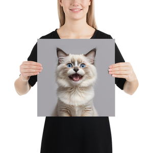 Ragdoll Kitten Poster Print Art