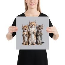 Funny Tripple Cats Poster Print Art