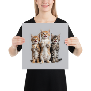 Funny Tripple Cats Poster Print Art