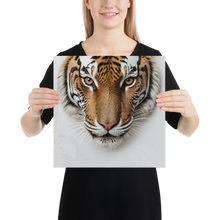 Silent Tiger Head Poster Print Art