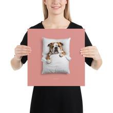 Sleeping Bulldog Poster Print Art