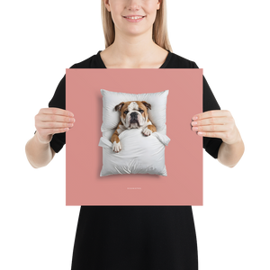 Sleeping Bulldog Poster Print Art