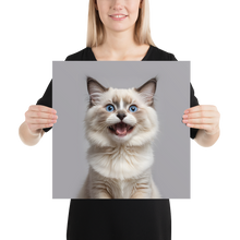 Ragdoll Kitten Poster Print Art