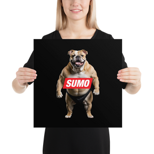 Sumo Bulldog Black Poster Print Art