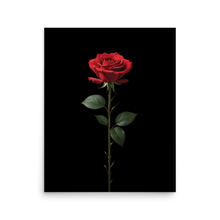 Red Rose on Black Poster Print Art