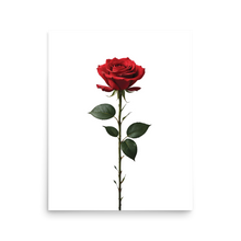 Red Rose on White Poster Print Art