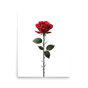 Red Rose on White Poster Print Art