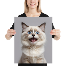 Ragdoll Kitten Poster Print Art