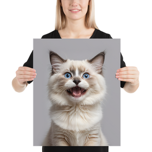 Ragdoll Kitten Poster Print Art