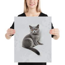 Relaxing British Shorthair Cat Poster Print Art