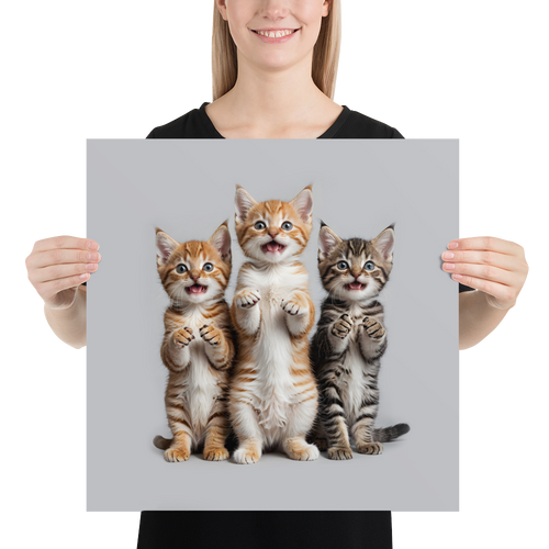 Funny Tripple Cats Poster Print Art