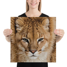 Baby Lion Poster Print Art