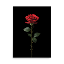 Red Rose on Black Poster Print Art