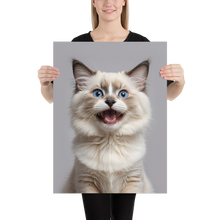 Ragdoll Kitten Poster Print Art