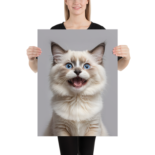 Ragdoll Kitten Poster Print Art