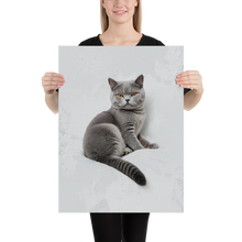 Relaxing British Shorthair Cat Poster Print Art