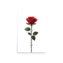 Red Rose on White Poster Print Art