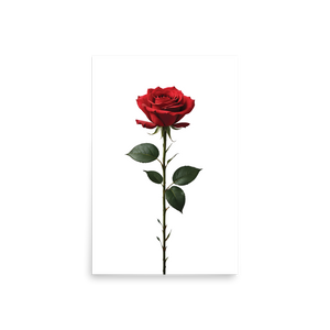 Red Rose on White Poster Print Art