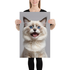 Ragdoll Kitten Poster Print Art