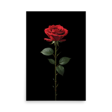 Red Rose on Black Poster Print Art