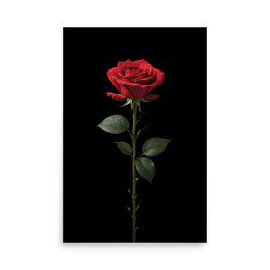 Red Rose on Black Poster Print Art