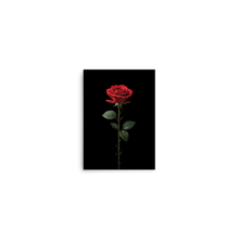 Red Rose on Black Poster Print Art