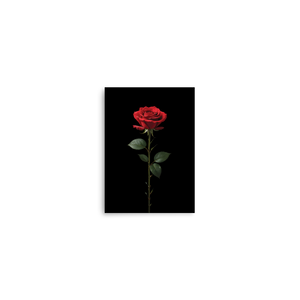 Red Rose on Black Poster Print Art