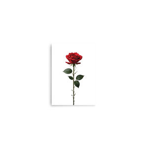 Red Rose on White Poster Print Art