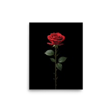 Red Rose on Black Poster Print Art