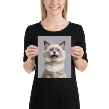 Ragdoll Kitten Poster Print Art