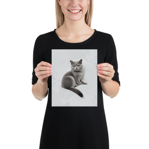 Relaxing British Shorthair Cat Poster Print Art