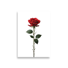 Red Rose on White Poster Print Art