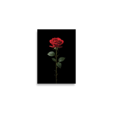 Red Rose on Black Poster Print Art