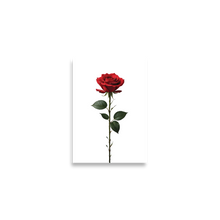 Red Rose on White Poster Print Art