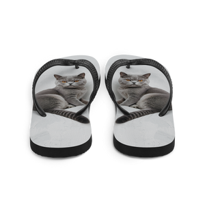 Relaxing British Shorthair Cat Flip Flops