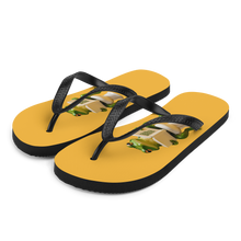 Frog Poop Flip Flops