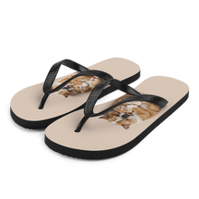 Cute Baby Cat and Dog Sleep Flip Flops