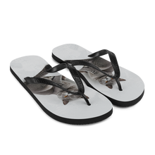 Relaxing British Shorthair Cat Flip Flops